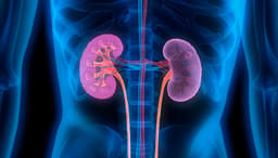 Kidney Infection: ये 5 संकेत बताते हैं कि आपकी किडनी में हैं इंफेक्शन, जानिए कारण और बचाव