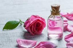 Rose Water Benefits: गुलाब जल में छिपे हैं कई अनगिनत राज, स्किन को खुबसूरत और चमकदार बनाने में करता है मदद