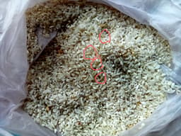 राशन दुकानों में वितरित हो रहा प्लास्टिक का चावल