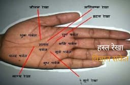 Hast Rekha Dhan Yog: हाथ में यह निशान आपको बनाएगा धनवान, देख लीजिए अपनी हथेली