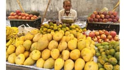 महंगे दाम फलों के मीठे स्वाद को कवड़ा कर रहे, सेवफल 220, अंगूर 150 रुपए किलो