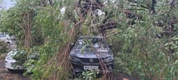 Video: आंधी ने मचाई तबाही, कई जगह पेड़ टूटे, मकान और कारों को हुआ नुकसान