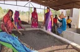 संगवाकापा में महिलाएं गौठान से जुडक़र प्राप्त कर रही हैं अच्छी आमदनी