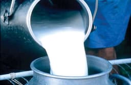 दूध उत्पादन में राजस्थान टॉप पर, 'आधी दुनिया' ने बदली 'पूरी तस्वीर'