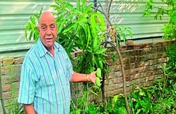 पौधों की सुरक्षा पर खर्च किए तीन लाख रुपए, हर साल पौधों का मनाते हैं जन्मदिन