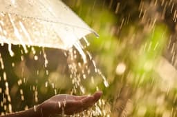 Monsoon Update : मानसून पर मौसम विभाग का लेटेस्ट अपडेट, जानें कब होगी झमाझम बारिश