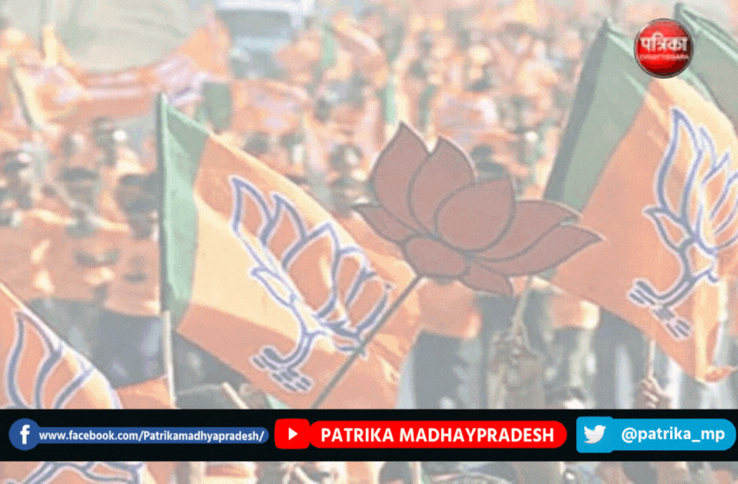 #BJPLeader : पार्षद और पूर्व एमआईसी सदस्य भिड़े, बिजली खंभा लगाने पर विवाद