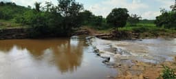 लोहांडीगुड़ा में पारापुर के जंगलों में मिला नया जलप्रपात, ग्रामीणों ने नाम दिया डुंगे