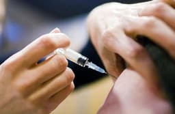 क्षेत्र में लावारिस श्वानों का आतंक, इस साल 9 माह में 5600 लोगों ने लगवाई एंटी रेबीज वैक्सीन