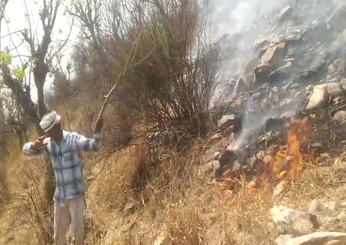 सरिस्का बाघ परियोजना के पहाड़ों में लगी आग, घास-पेड़ धूं-धूं कर जले….देखें यह
वीडियो  