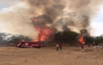Watch Video: जंगल में आग से फैली अफरातफरी, दो घंटे की मशक्कत के बाद आग बुझी