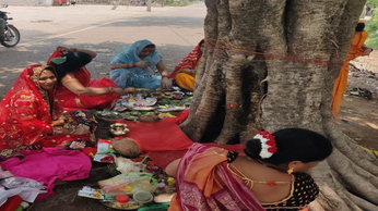 Watch the video.. महिलाओं ने उपवास रहकर किया वट वृक्ष की पूजा
