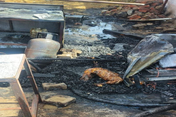 चाय की थड़ी पर घरेलू गैस सिलेंडर फटने से 7 साल का मासूम जिंदा जला