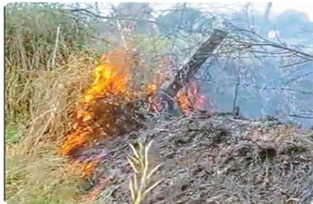 VIDEO: तीन बीघा भूमि में पौधे जलकर राख