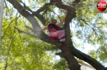 VIDEO : धूप में चार घंटे बैठी रही महिलाएं, सरकार तक आवाज पहुंचाने पेड़ पर चढ़ी