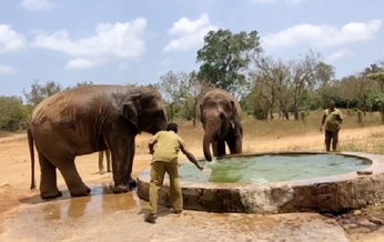 VIDEO : गर्मियों में ऐसे बुझेगी जानवरों की प्यास, पानी की नहीं होगी कमी