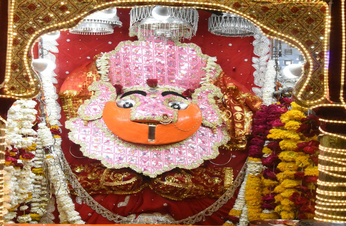 देखे Video : चैत्र नवरात्रि के पहले दिन उमड़े कालिका के भक्त