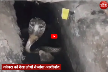 Video: चंदौली में दिखा कोबरा सांप, लोगों ने जोड़े हाथ