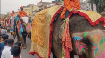 देखें वीडियो... Jaipur Ramnavami Shobhayatra 2023: हाथी और ऊंटों के साथ निकल रही शाही शोभायात्रा, उमड़े हजारों लोग
