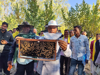 मधुमक्खी पालन बन रहा रोजगार का बड़ा जरिया