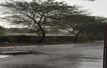 Video: बड़े दिनों बाद छाए बदरा, हुई झमाझम बारिश
