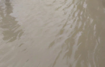 भारी बारिश से काठाडीह-भठगांव रोड जलमग्न, जान जोखिम में डाल नाला पार कर रहे लोग