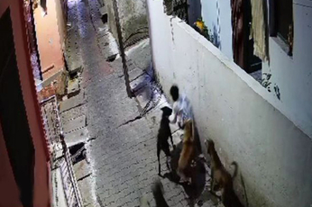 Jhansi News: कुत्तों के झुंड ने 7 साल के बच्चे पर बोला हमला, जमीन पर घसीट-घसीट कर नोंचा, देखें वीडियो