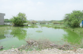 Kishangarh -खेतों में फसलें चौपट, घरों की नींव में भरा पानी