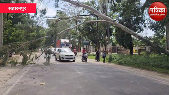 Weather News: अचानक बदला मौसम तेज आंधी से टूटे पेड़, दिल्ली-सहारनपुर हाइवे बाधित
