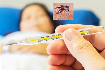 डेंगू होने पर करें इन देसी चीजों का सेवन, दो दिन बढ़ जाएगा प्लेटलेट्स