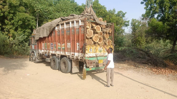 Watch Video: बेसकीमती लकड़ी से भरा ट्रक जब्त