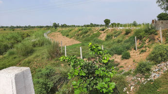 रूपारेल नदी के बहाव क्षेत्र में तारबंदी से अवैध कब्जा