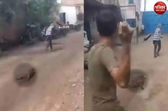 Video: इंसानियत हुई शर्मशार, बंदर के गले में 3 लोगों ने रस्सी बांधकर घसीटा