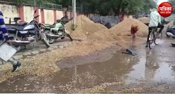 Video: बारिश ने बढ़ाई किसानों की चिंता, नाले में बह गई लाखों रुपए की मूंगफली