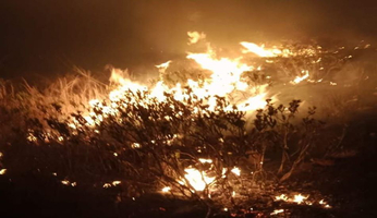 अभ्यारण की पहाडि़यों पर लगी आग, काबू पाके में लगे रहे वनकर्मी