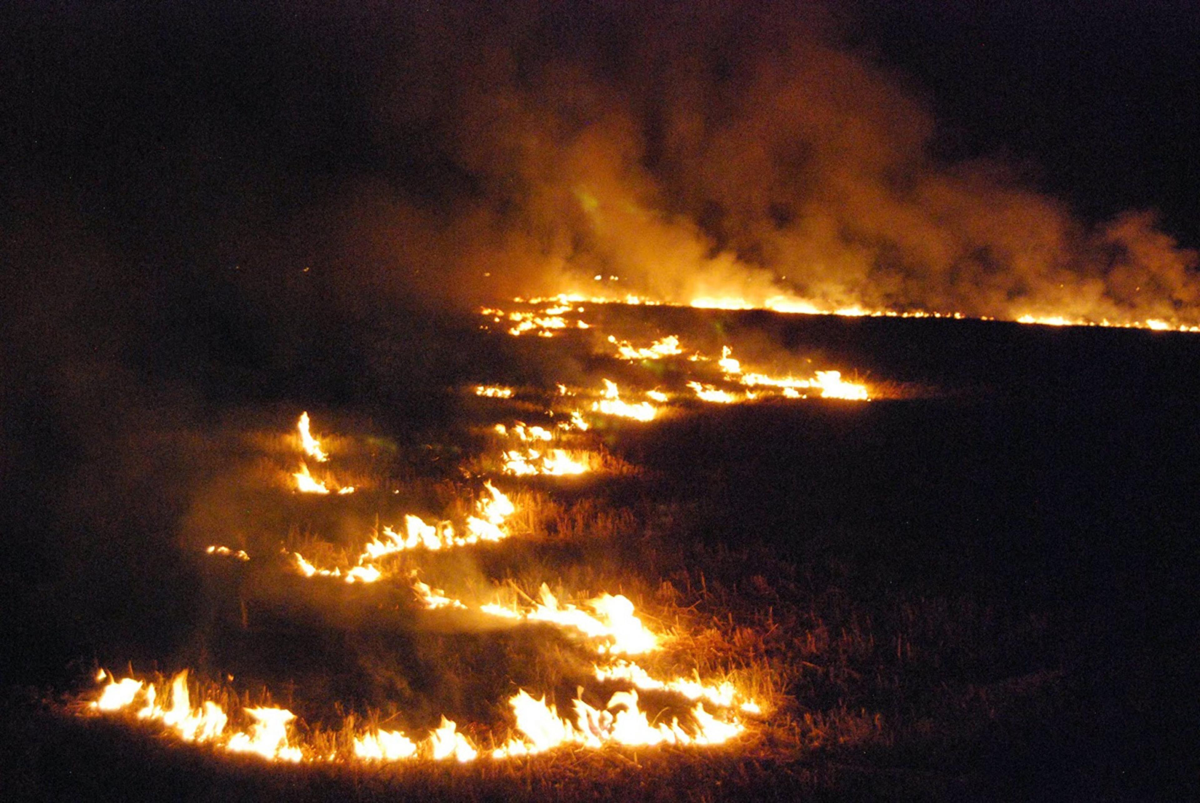 किसान लगा रहे हैं खेतों में आग : वार्डवासी परेशान