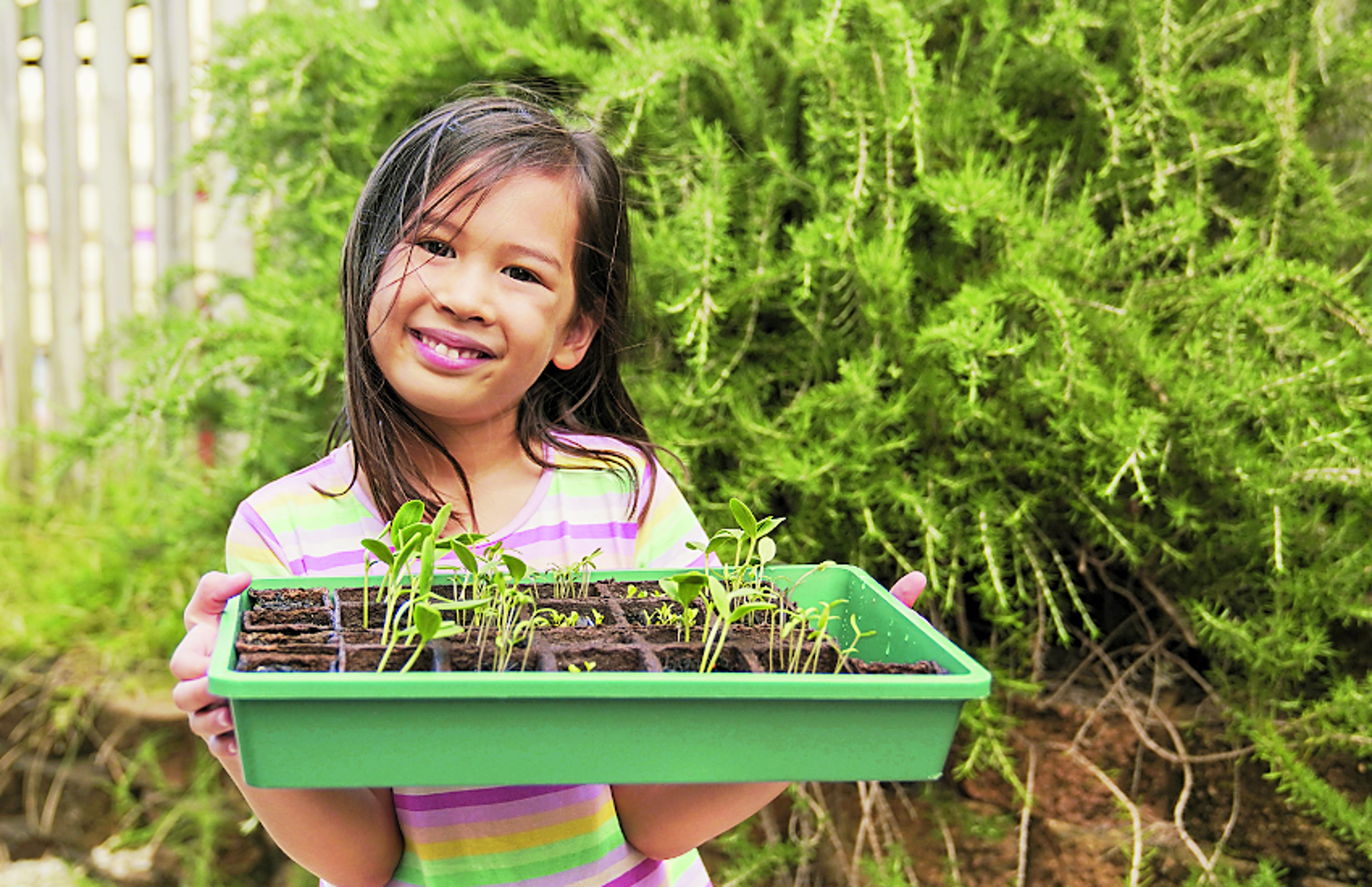 National Nutrition Week 2021: बच्चे पौष्टिक खाना और उगाना सीखेंगे, किचन गार्डन
से जोड़ें