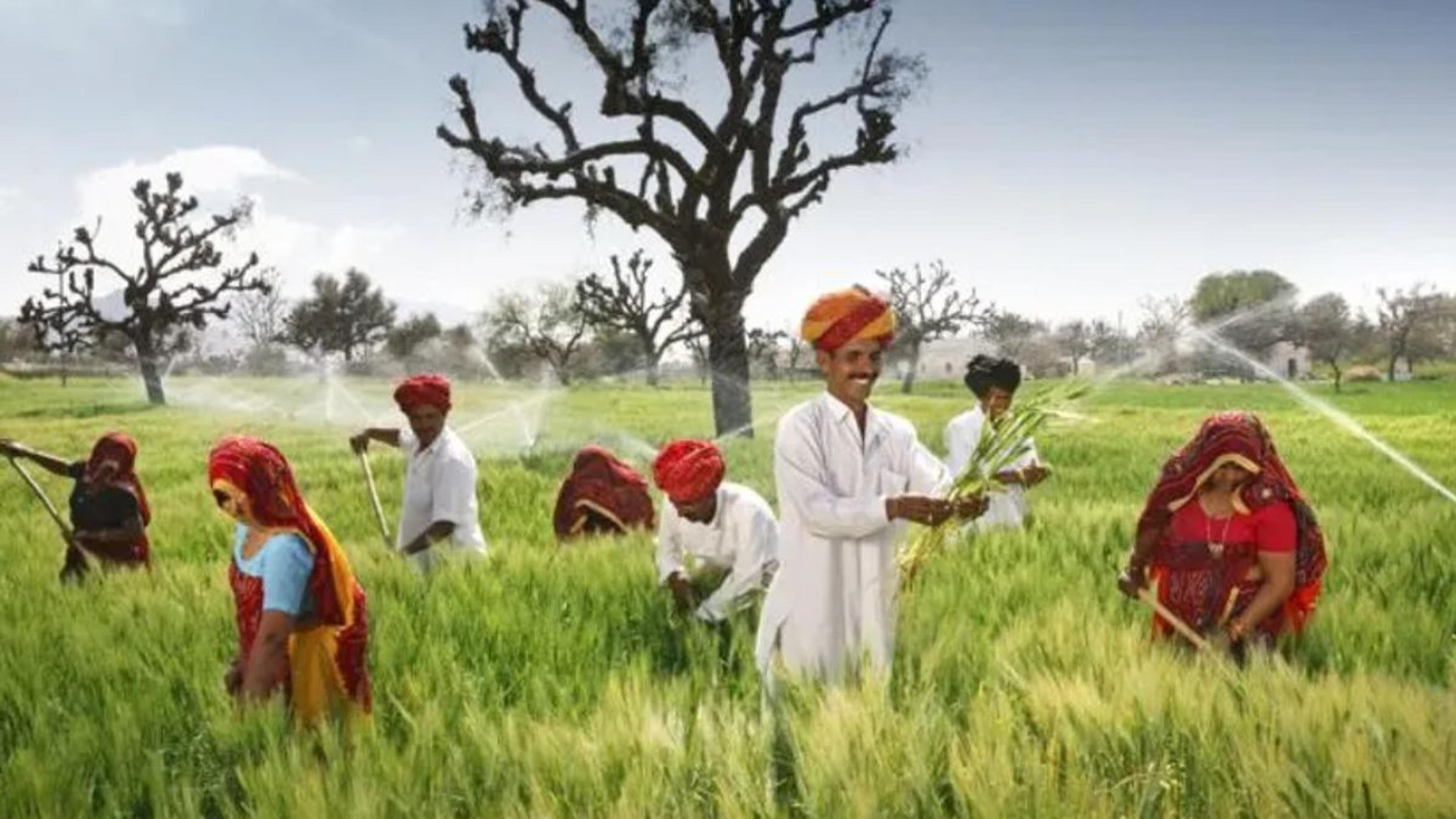 किसानों के लिए खुशखबरी, अब एमएसपी को लेकर आई यह बड़ी अपडेट, खबर पढ़ें