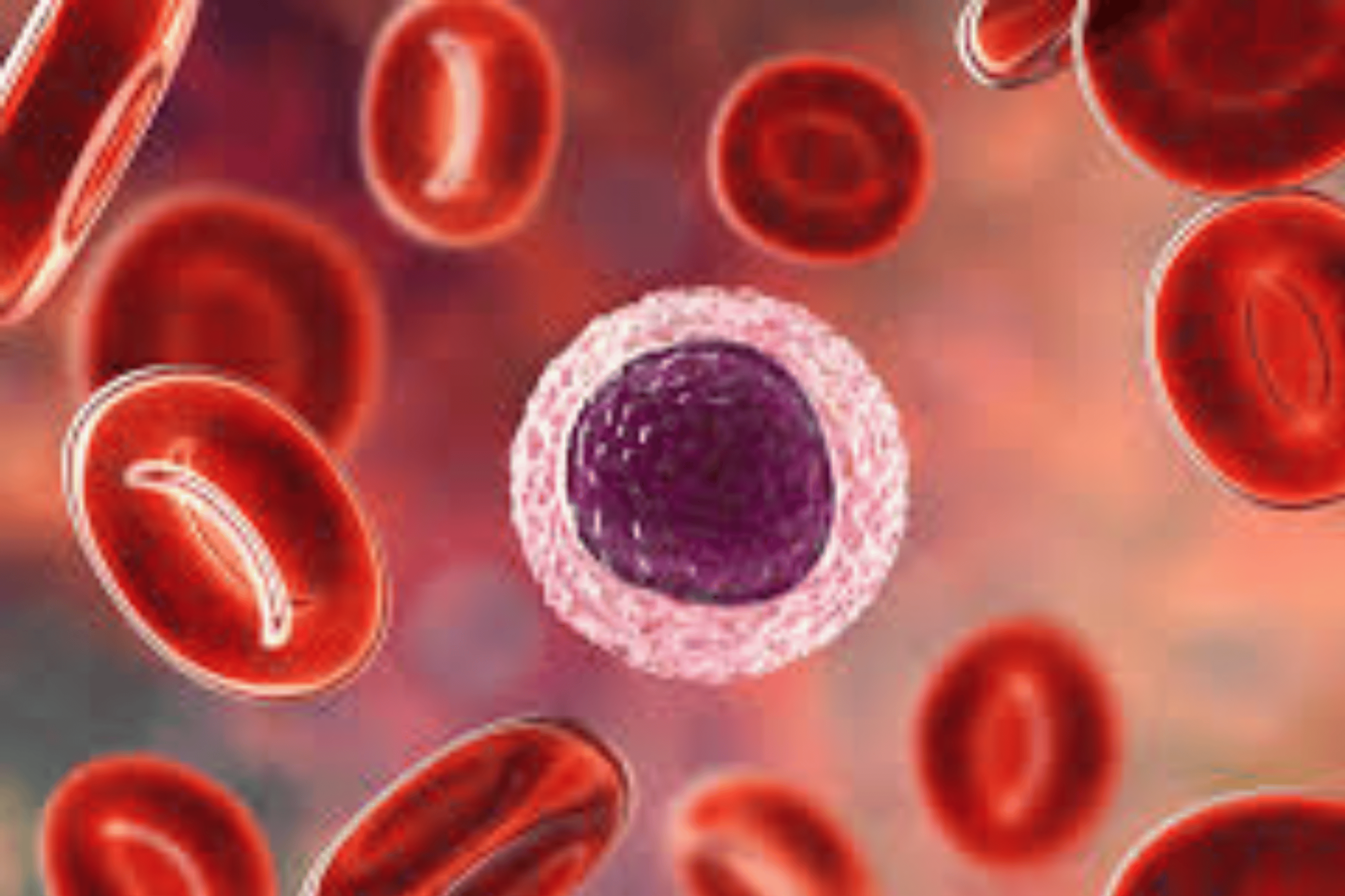 Good News : खून की जांच से खुलेगा कैंसर का राज