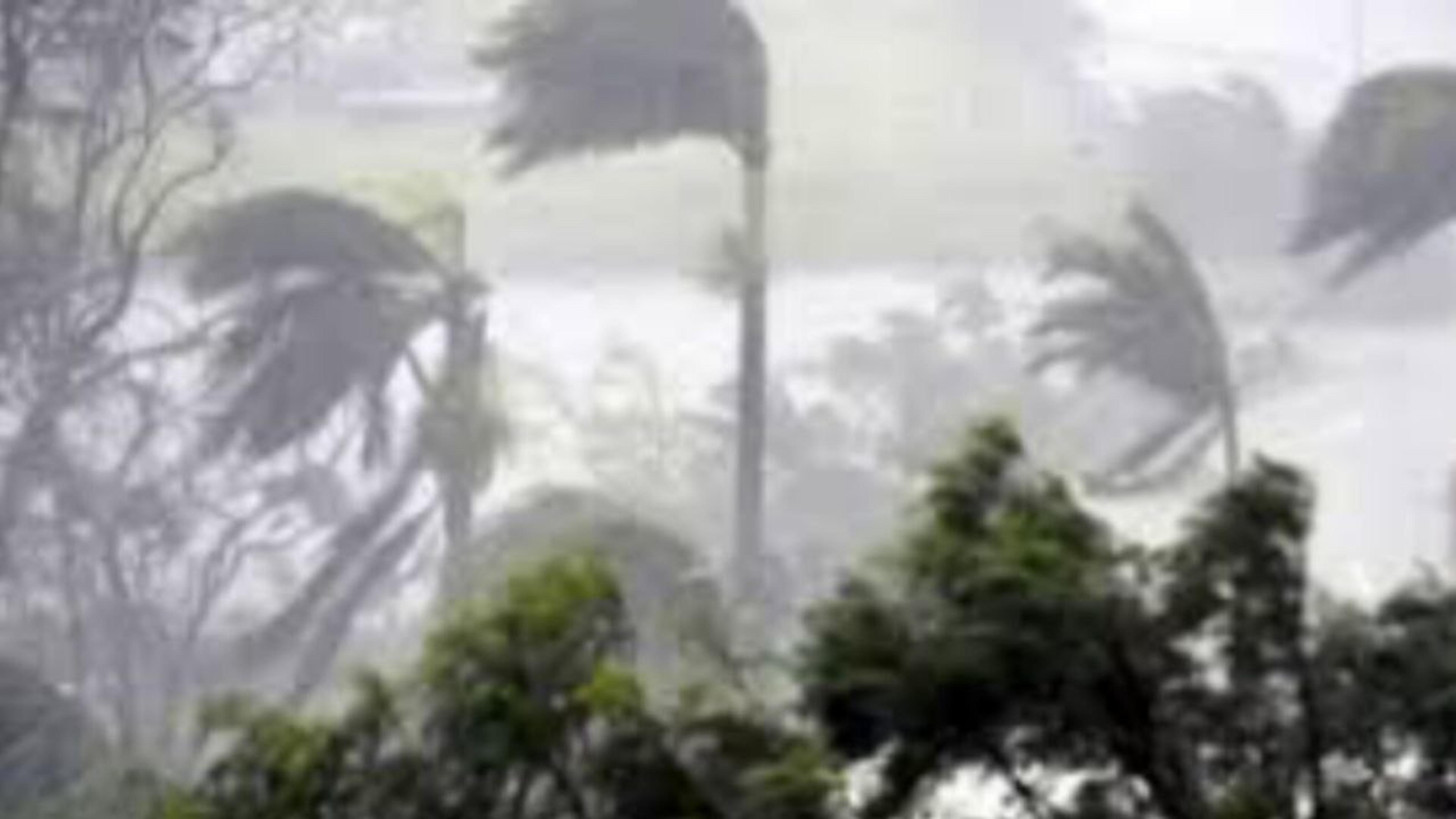 UP Rain alert: पश्चिमी विक्षोभ को लेकर आईएमडी की लेटेस्ट भविष्यवाणी, तेज हवाओं
के साथ झमाझम बारिश