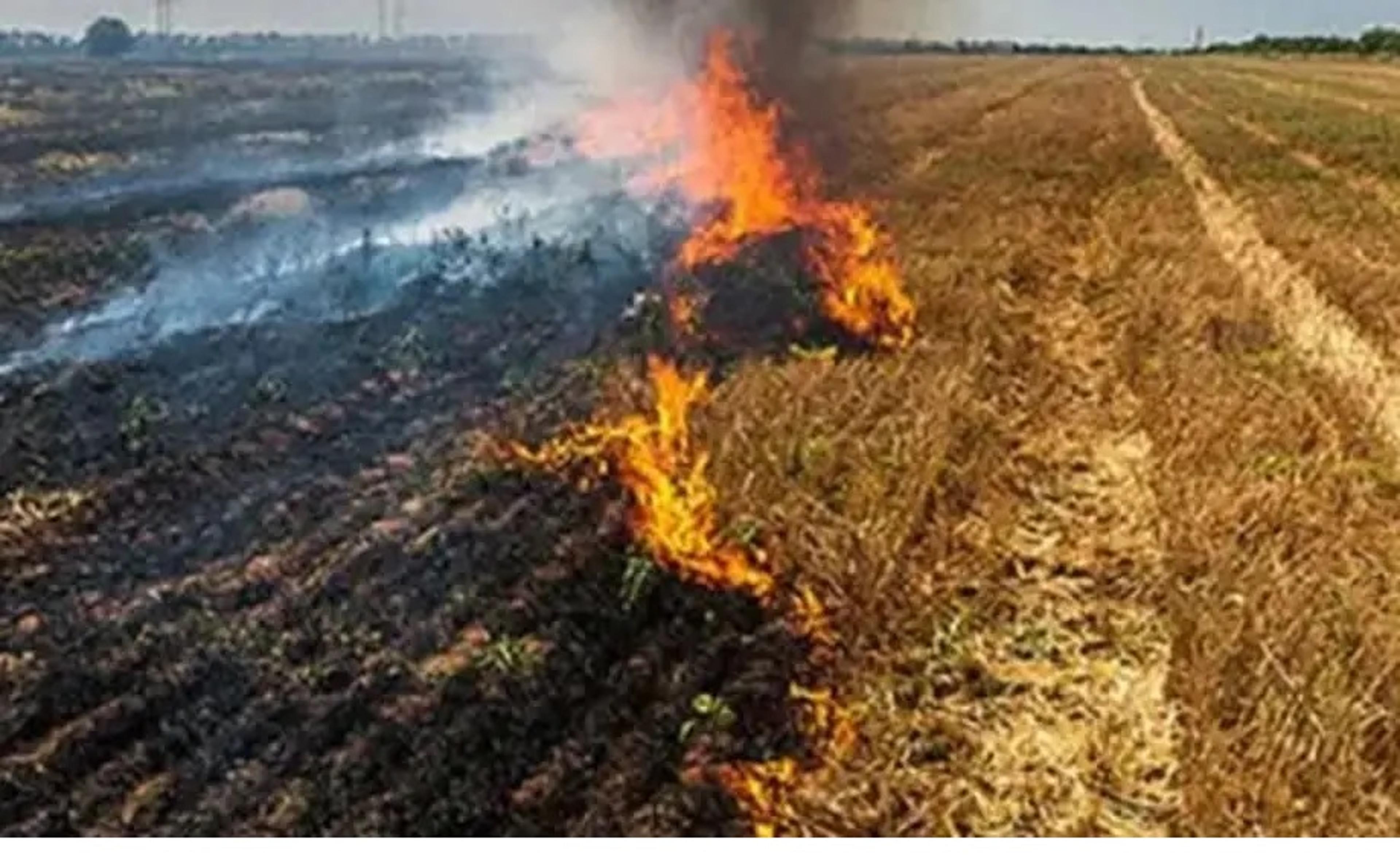 30 दिनों में 982 गांवों में घूमकर किसानों को पराली जलाने के दुष्प्रभाव बताएगी जागरुकता वैन