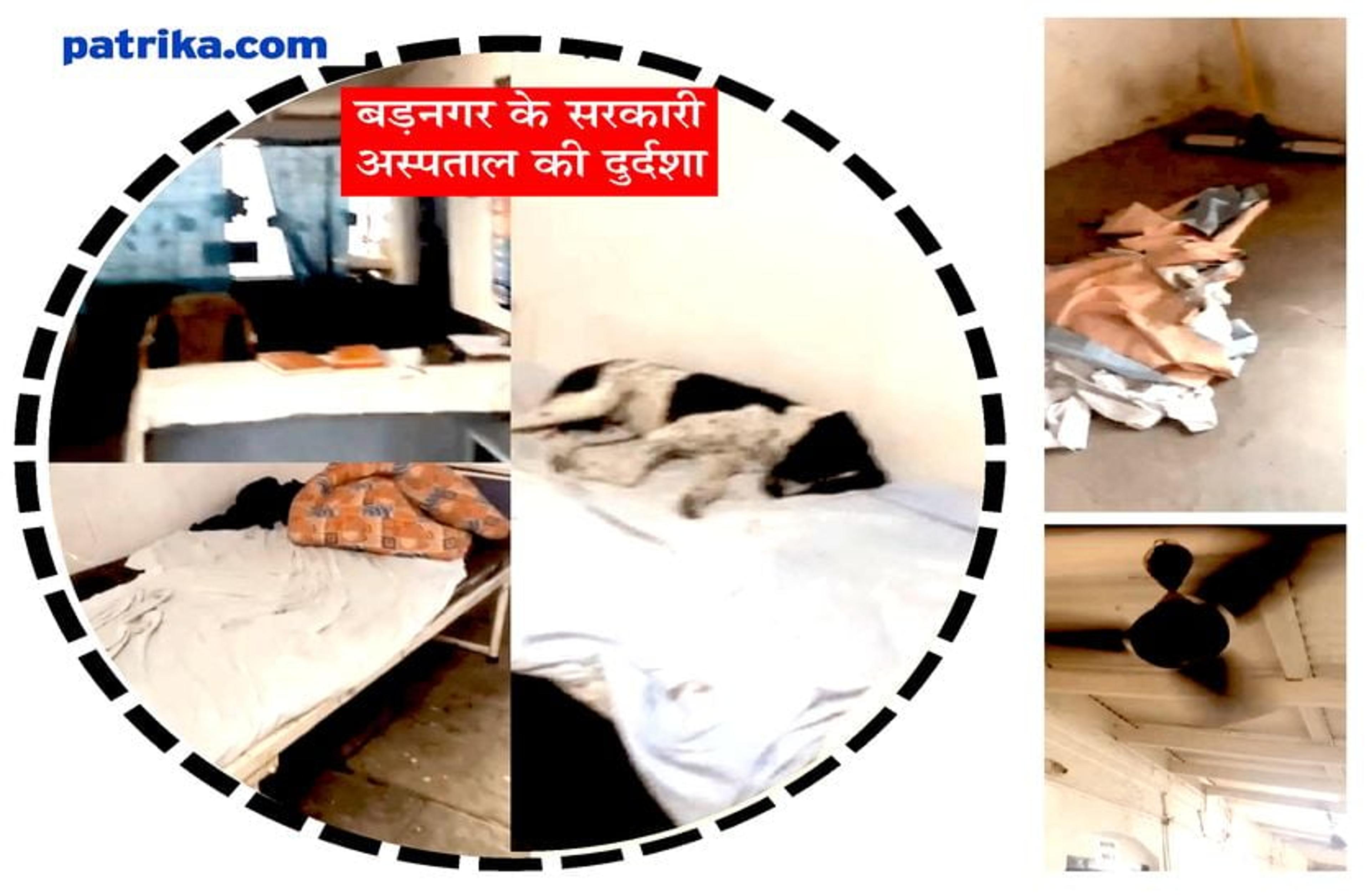 वीडियो : अस्पताल की ऐसी दशा... मरीजों के बेड पर आराम फरमा रहे श्वान