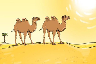 Optical Illusion Camel Walking In Desert Give Answer  In 7 Seconds What Is wrong In This Image