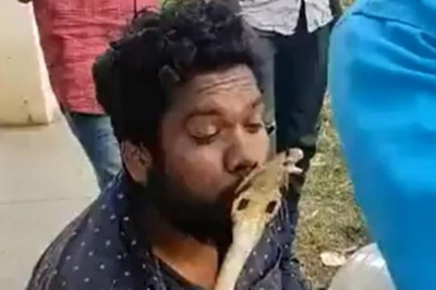 Karnataka man tries to kiss cobra after rescuing it, gets bitten