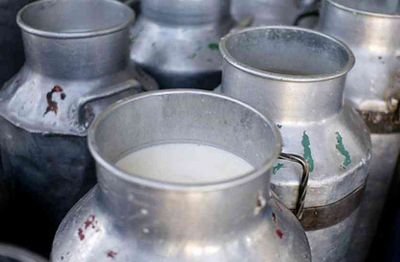 Alwar District Is Leading In Milk Production