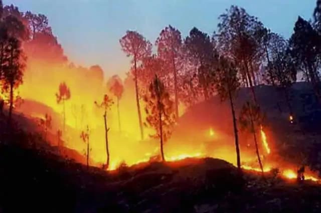 नैनीताल के जंगलों में लगी भीषण आग, एयरफोर्स के MI-17 हेलीकॉप्टर से काबू पाने की
कोशिश जारी