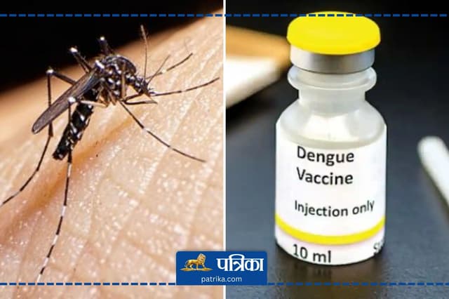 खुशखबरी! डेंगू पर वॉर, WHO ने नई वैक्सीन को दी मान्यता, जानिए पूरी डिटेल