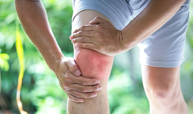 Home Remedies for Joint Pain: जोड़ों के दर्द के लिए प्राकृतिक जड़ी बूटियों