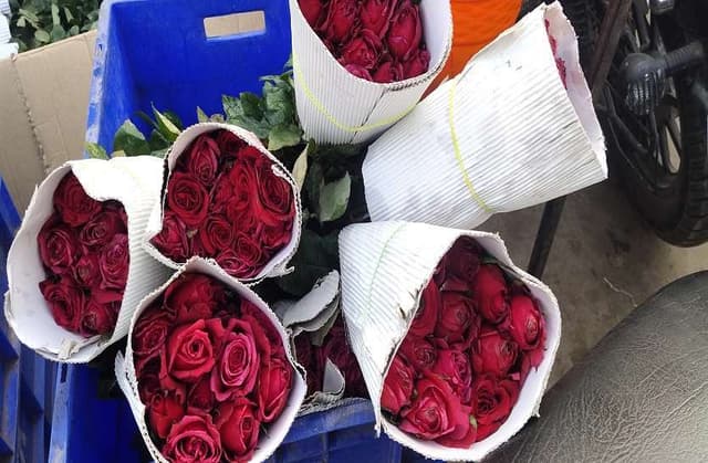 Valentine's Week 2023: Rose Day से वैलेंटाइन वीक की शुरुआत, इजहार-ए-महोब्बत करना हुआ महंगा, देखें तस्वीरें