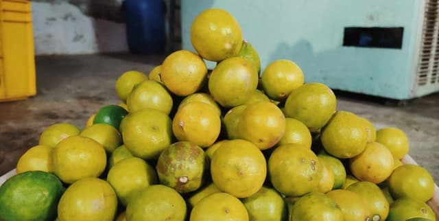 Lemon Price Today: नींबू के दाम 200 रुपए किलो सुन चौंक रहे ग्राहक